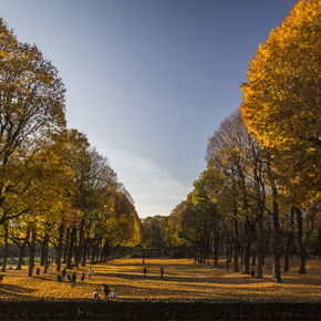 Park