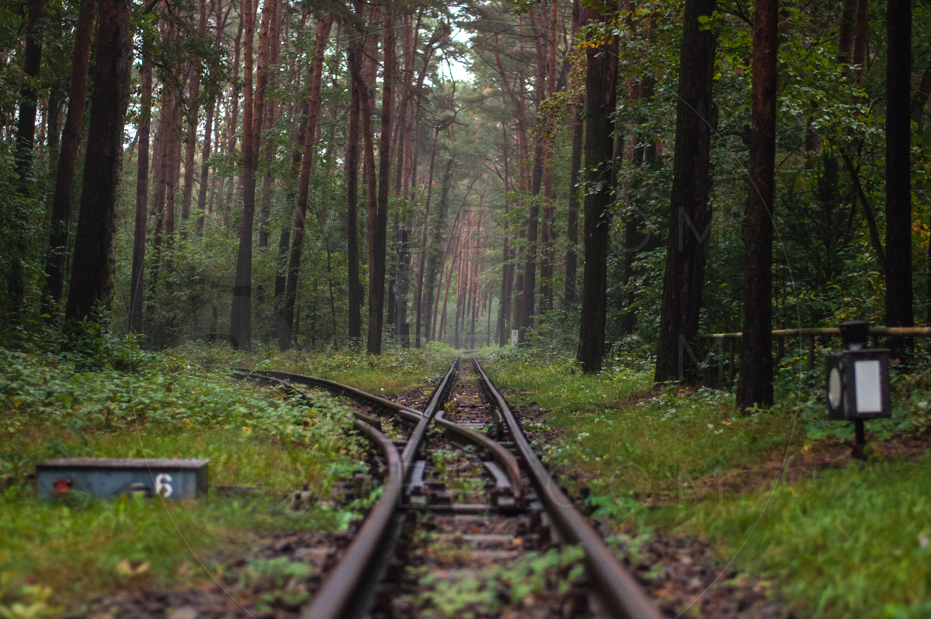 Zapuščena proga