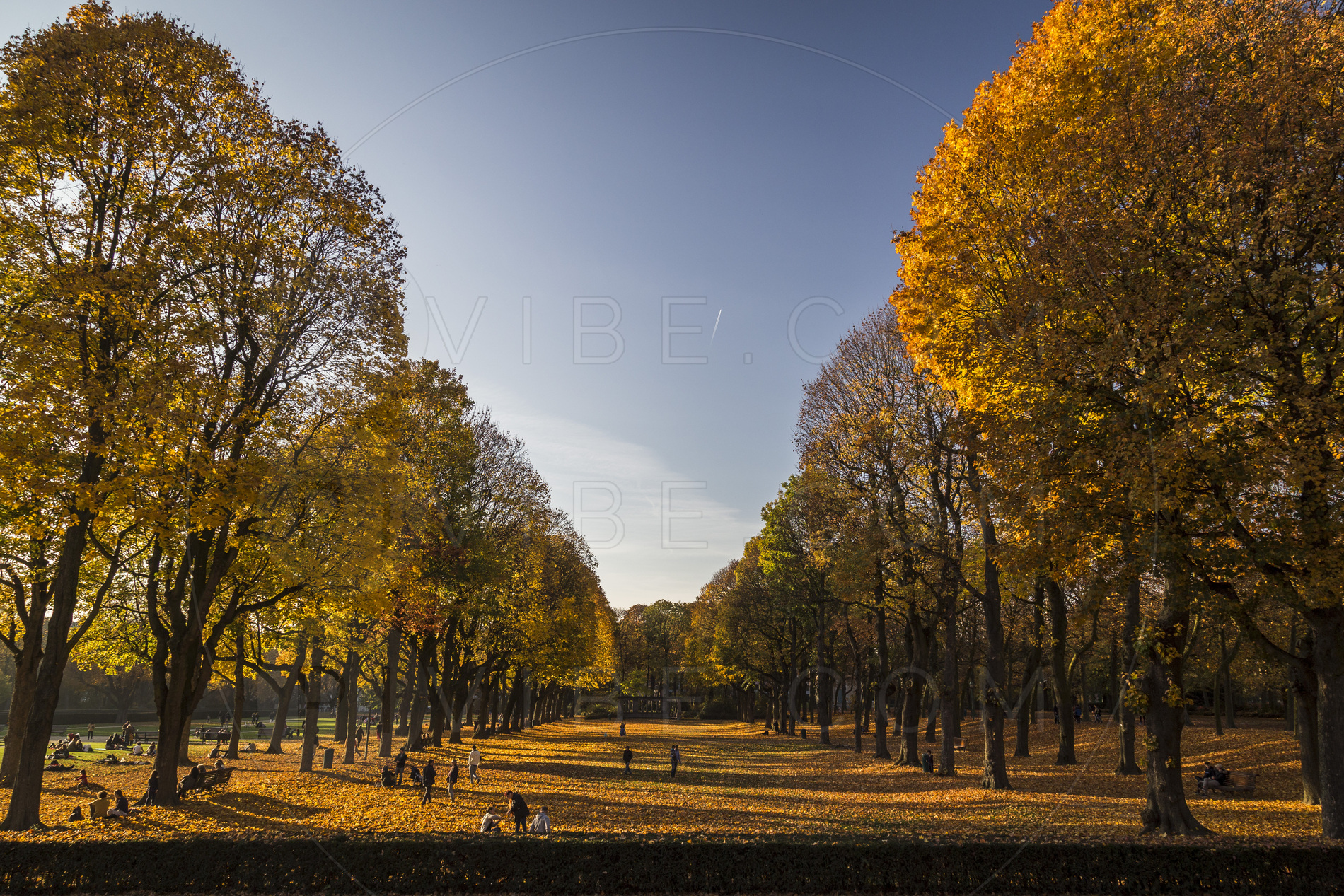 Park