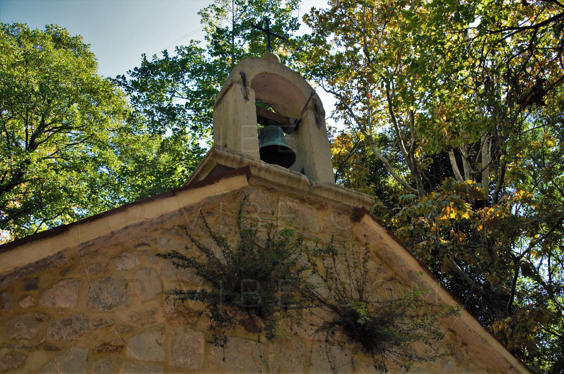 Kapela