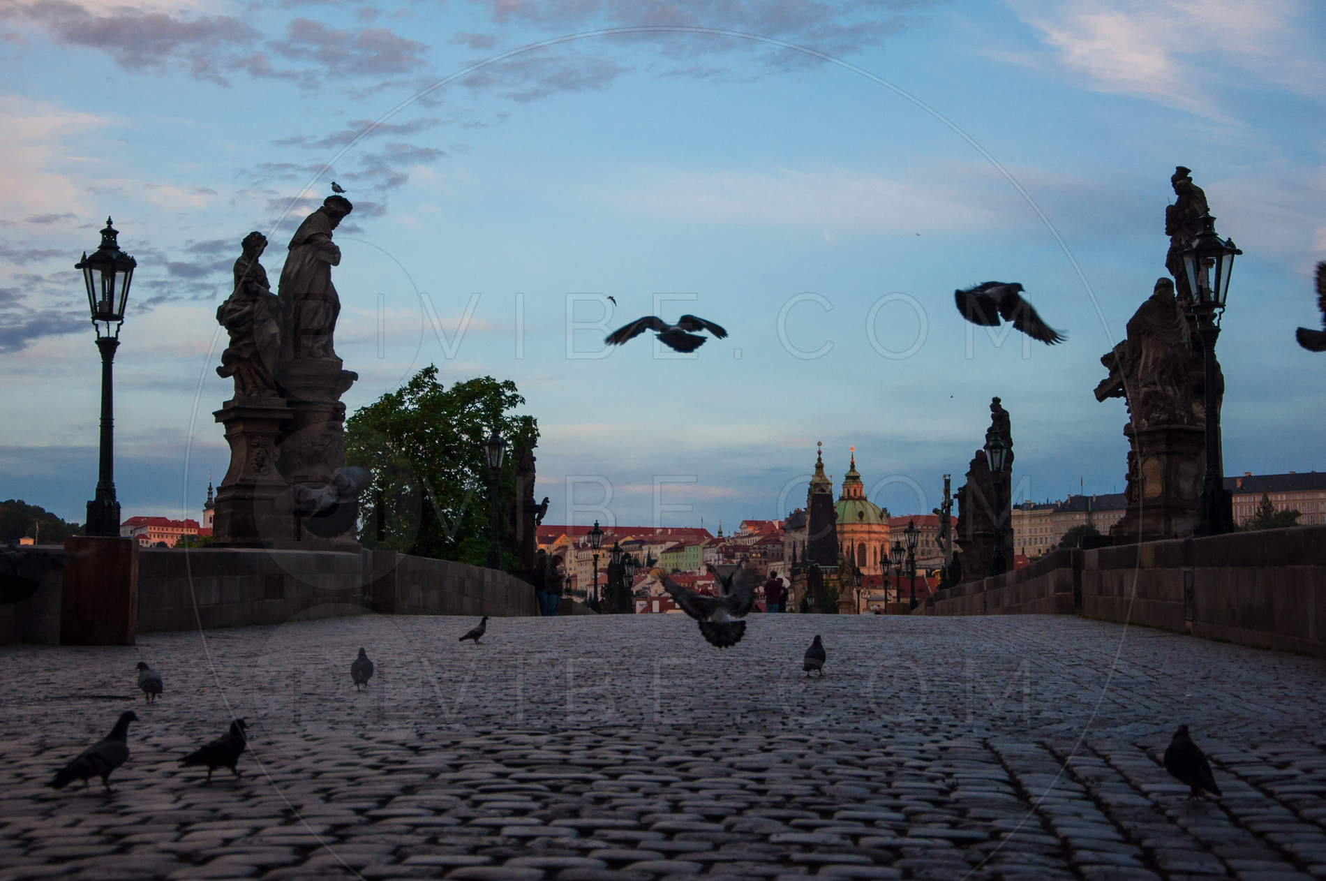 Karlov most